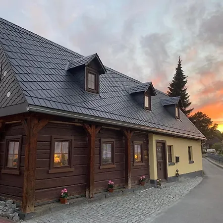 In Mit Grosser Terrasse Holiday home Grossschoenau